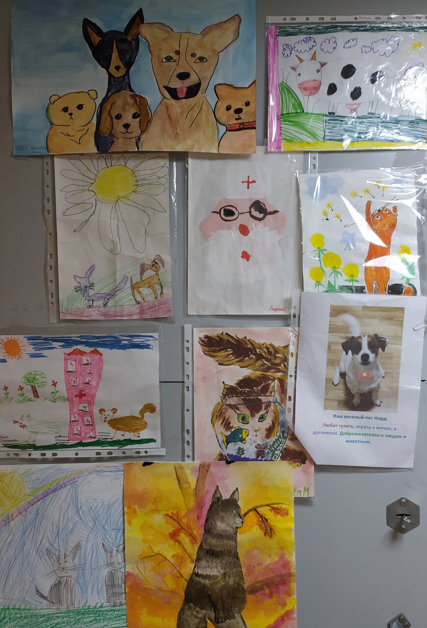 more clinic photos 37382