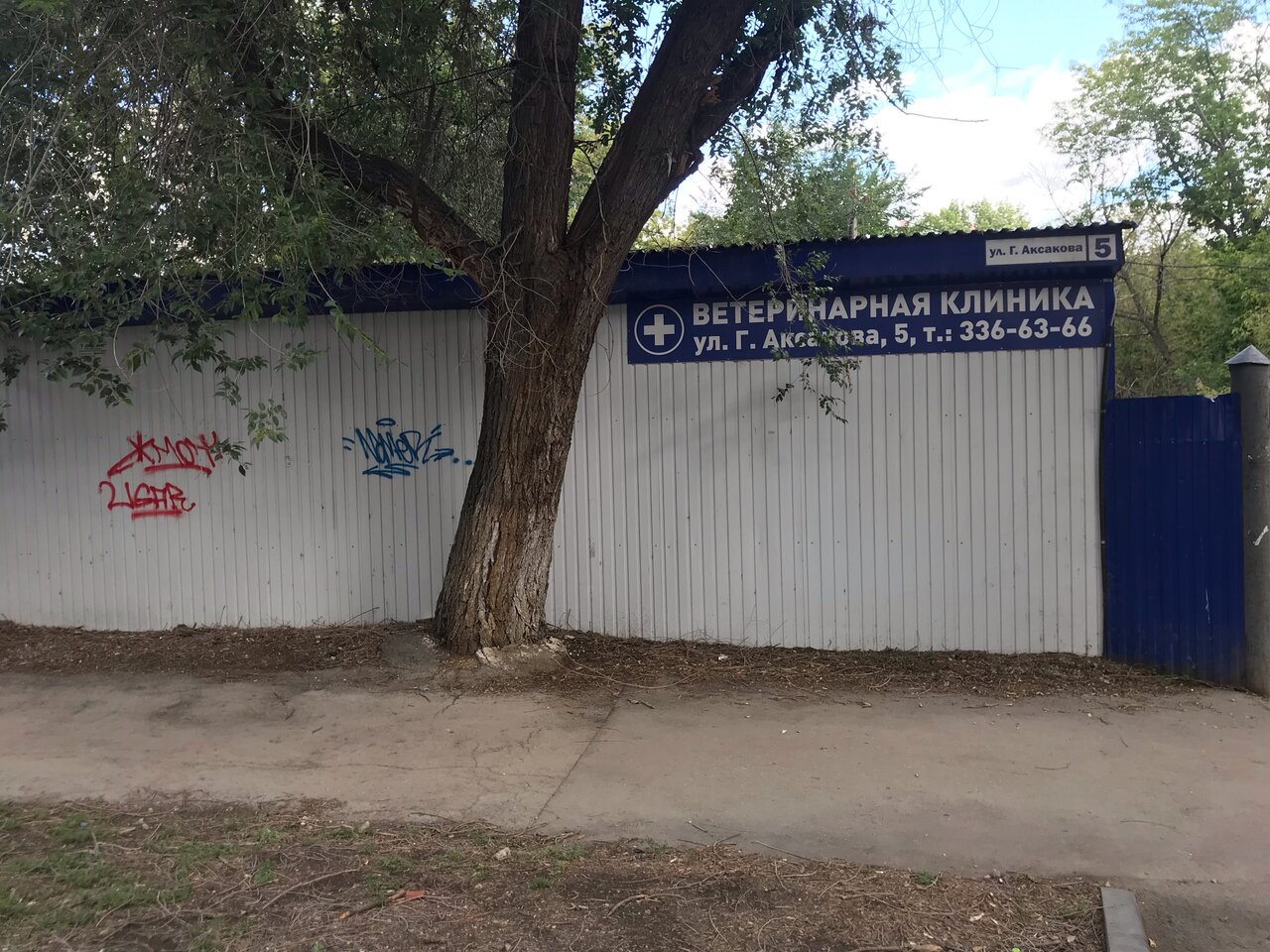 Фото клиники 8368