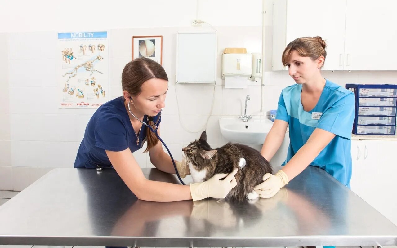 clinic general image