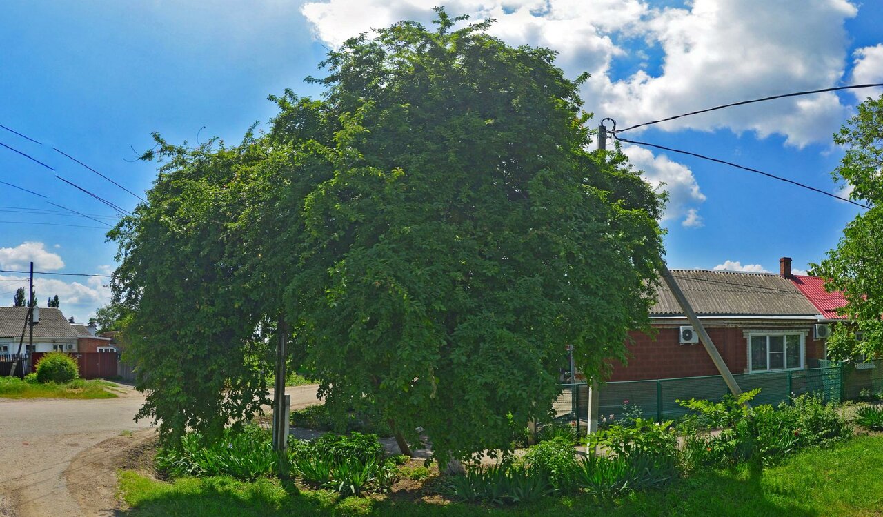 Ветеринарная лечебница