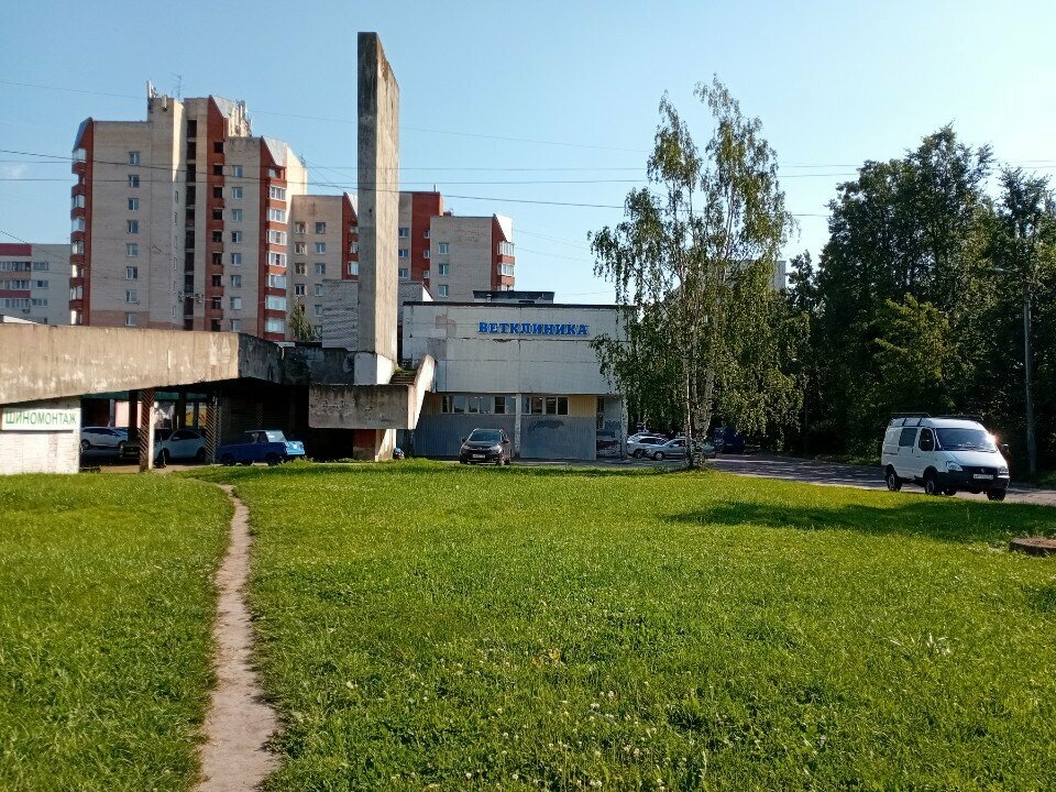 Фото клиники 61431