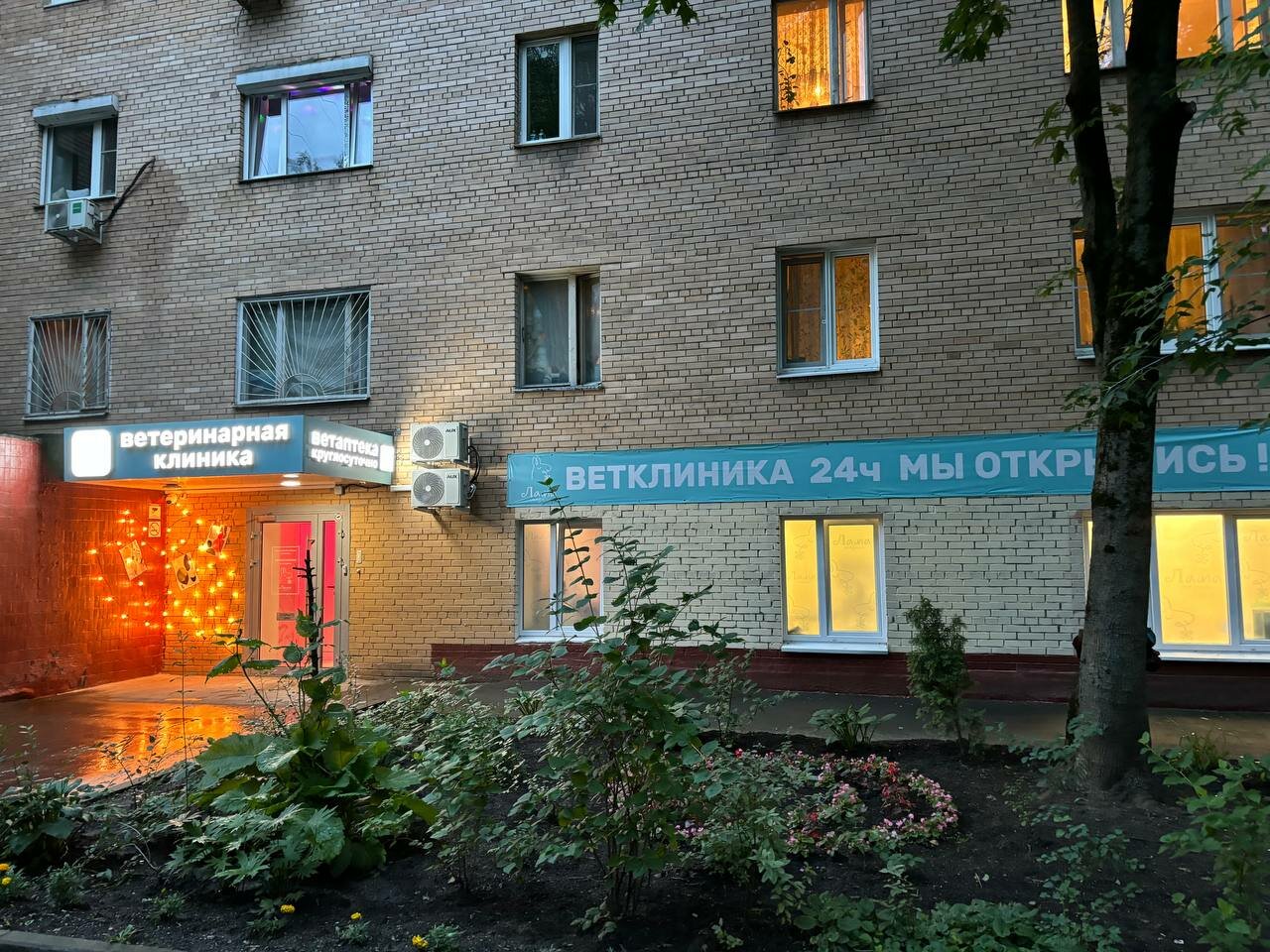 Фото клиники 19235