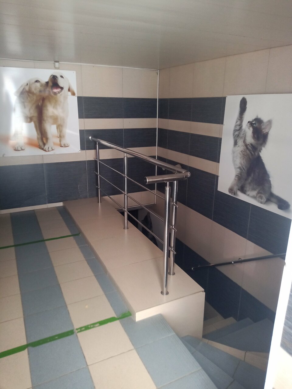 Фото клиники 44234