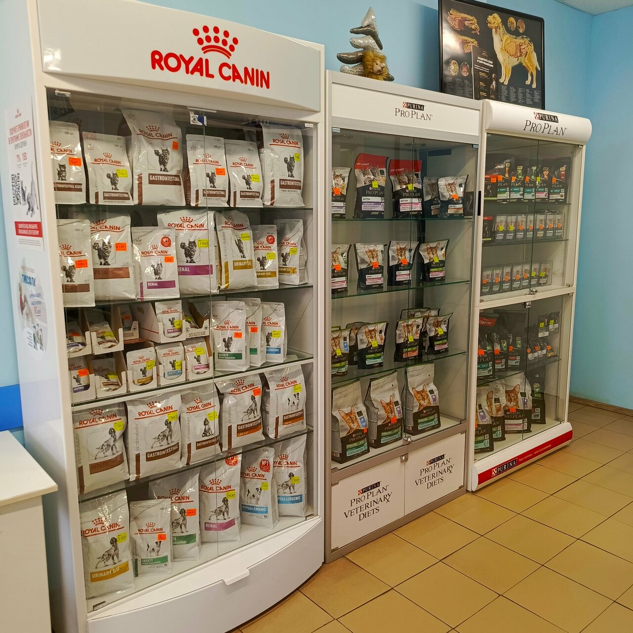 more clinic photos 25658