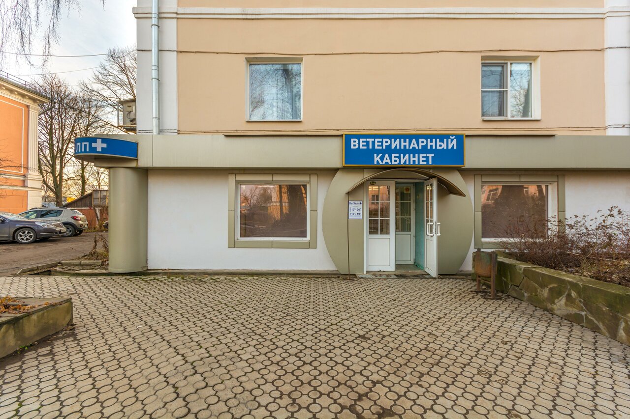 Фото «ВетХелп+»