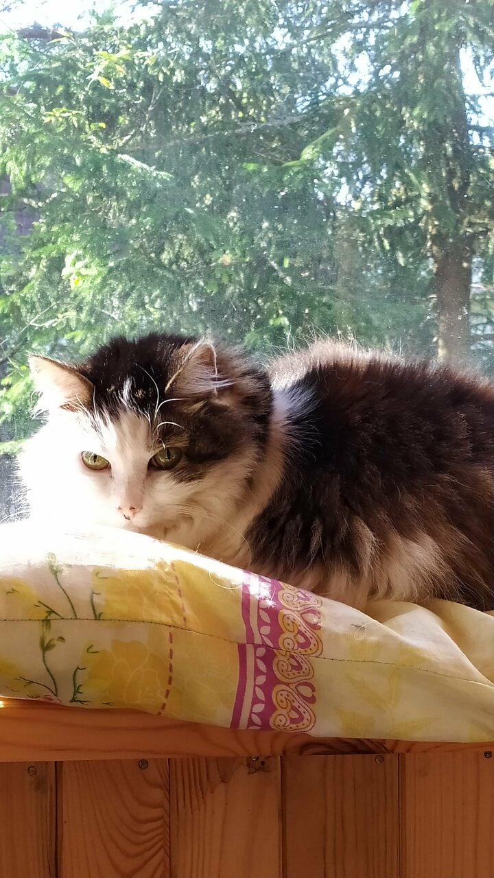 more clinic photos 7577