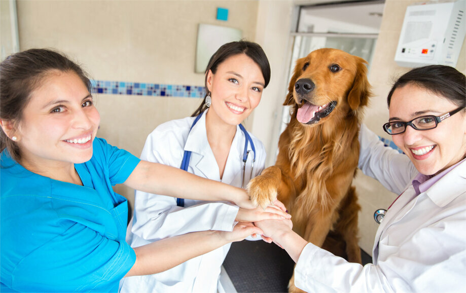 clinic general image