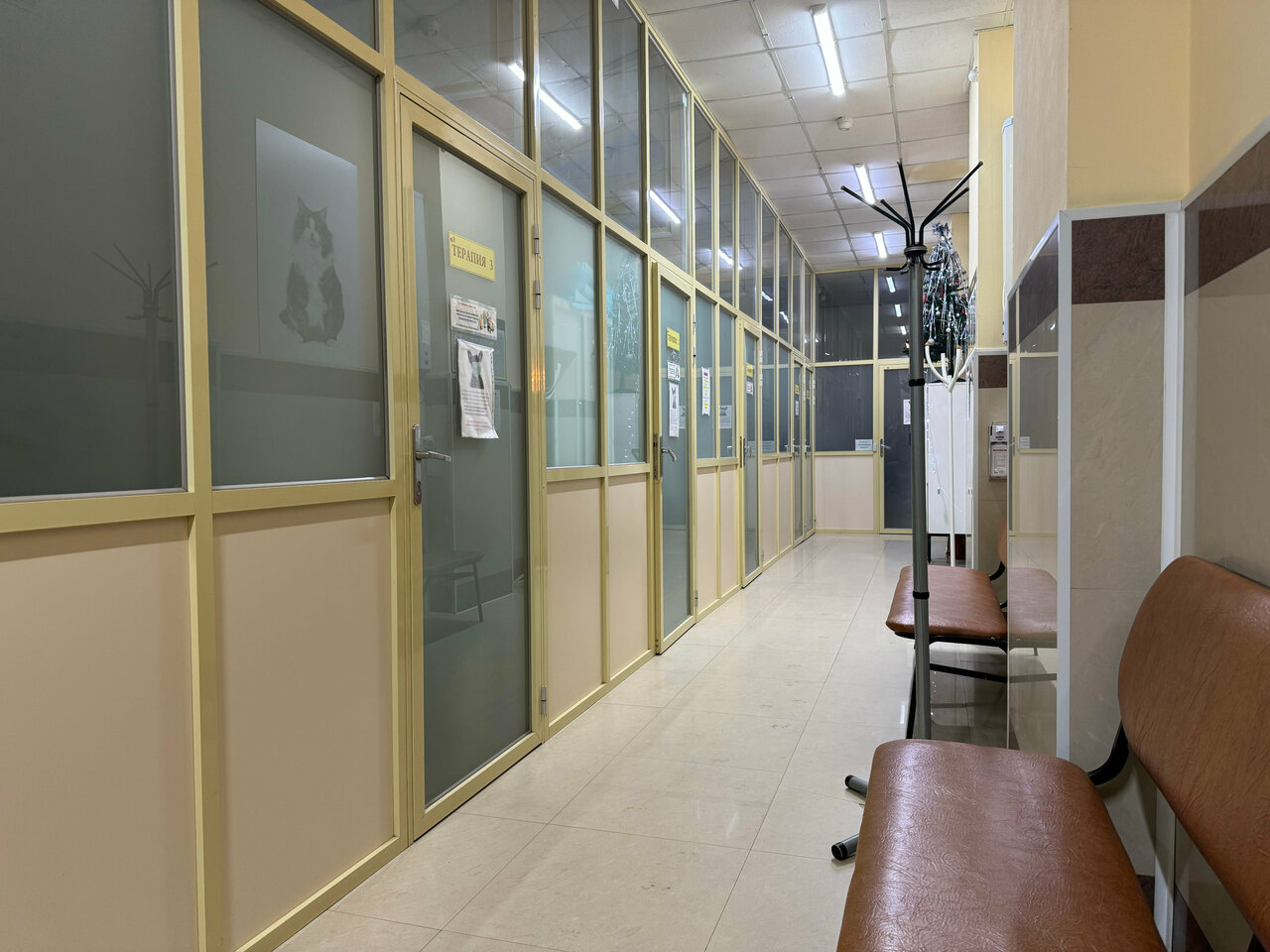 Фото клиники 61216