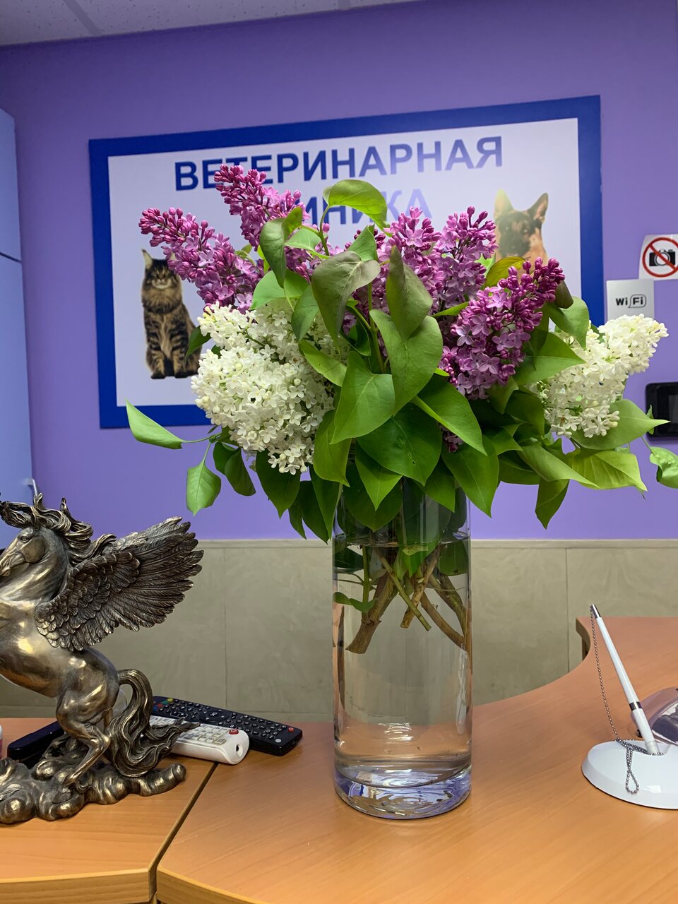 Фото клиники 20886