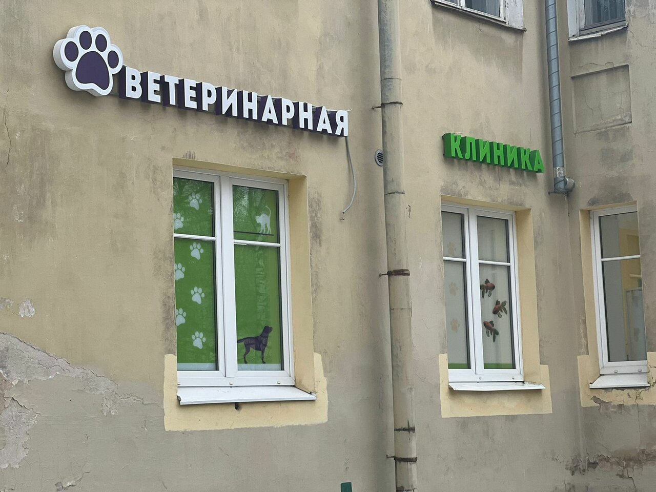 Фото «Здоровье животных»