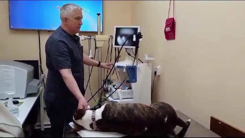 clinic general image