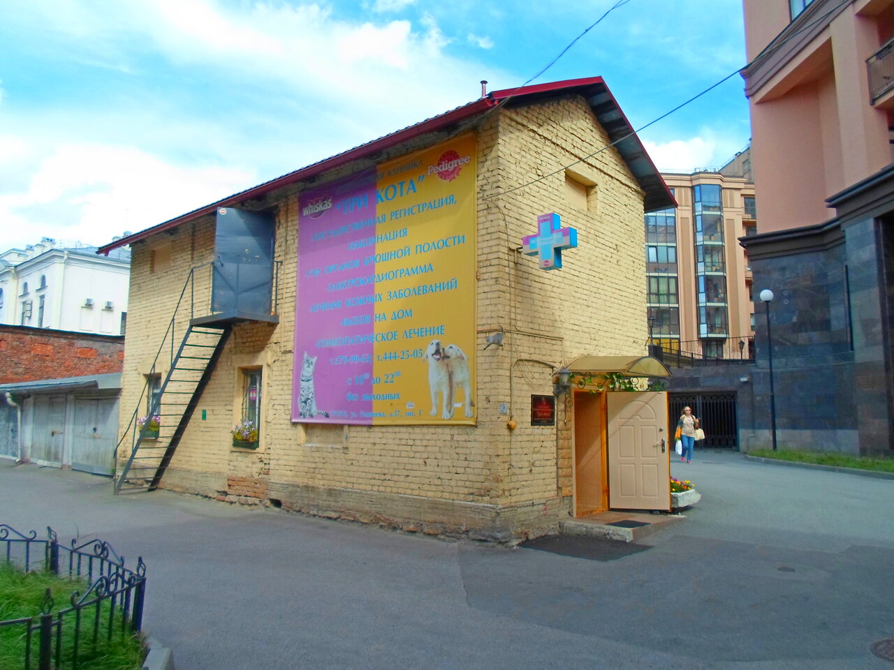 Фото «Три кота»