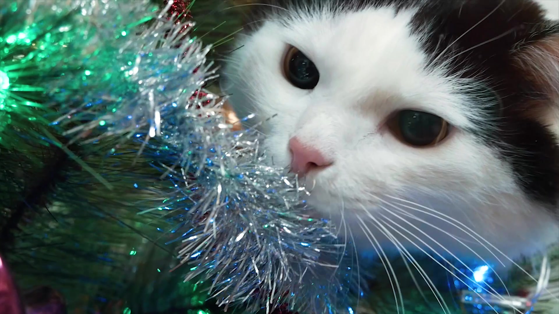 clinic general image