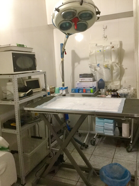 more clinic photos 8299