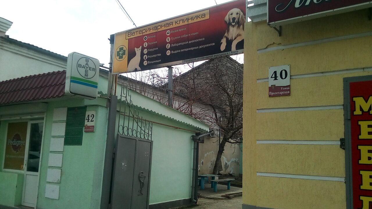 Ветеринарная клиника