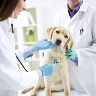 clinic general image