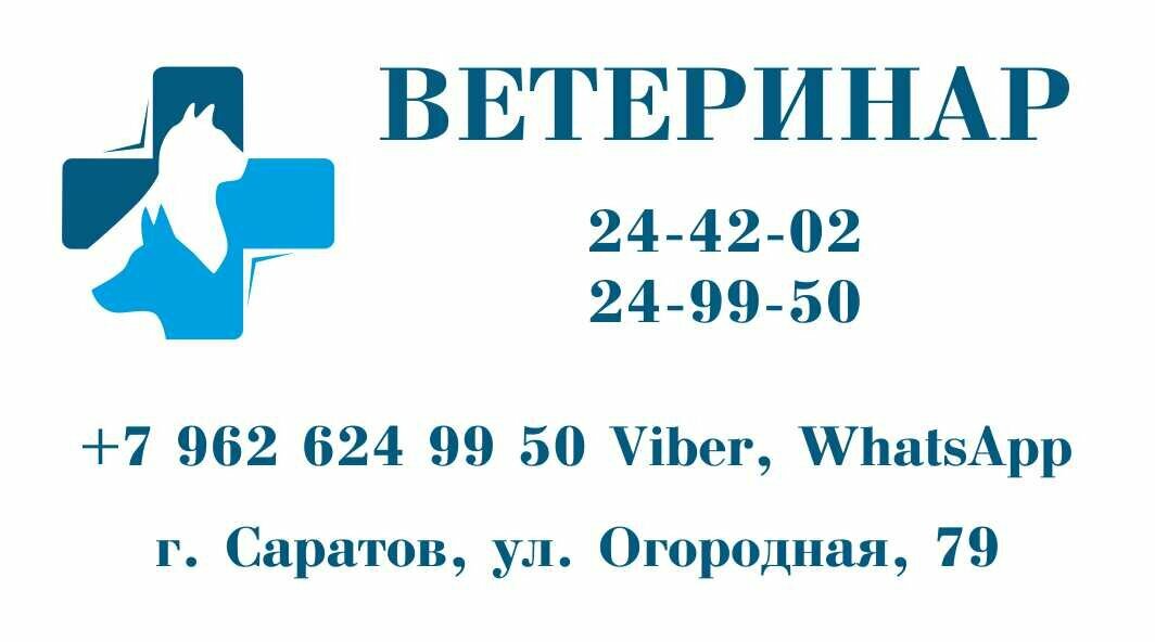 Фото «Ветеринар»