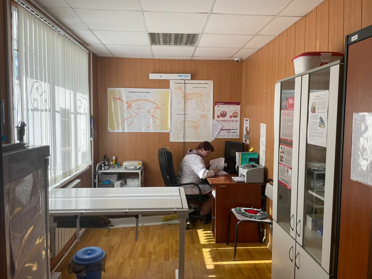 Фото клиники 44450