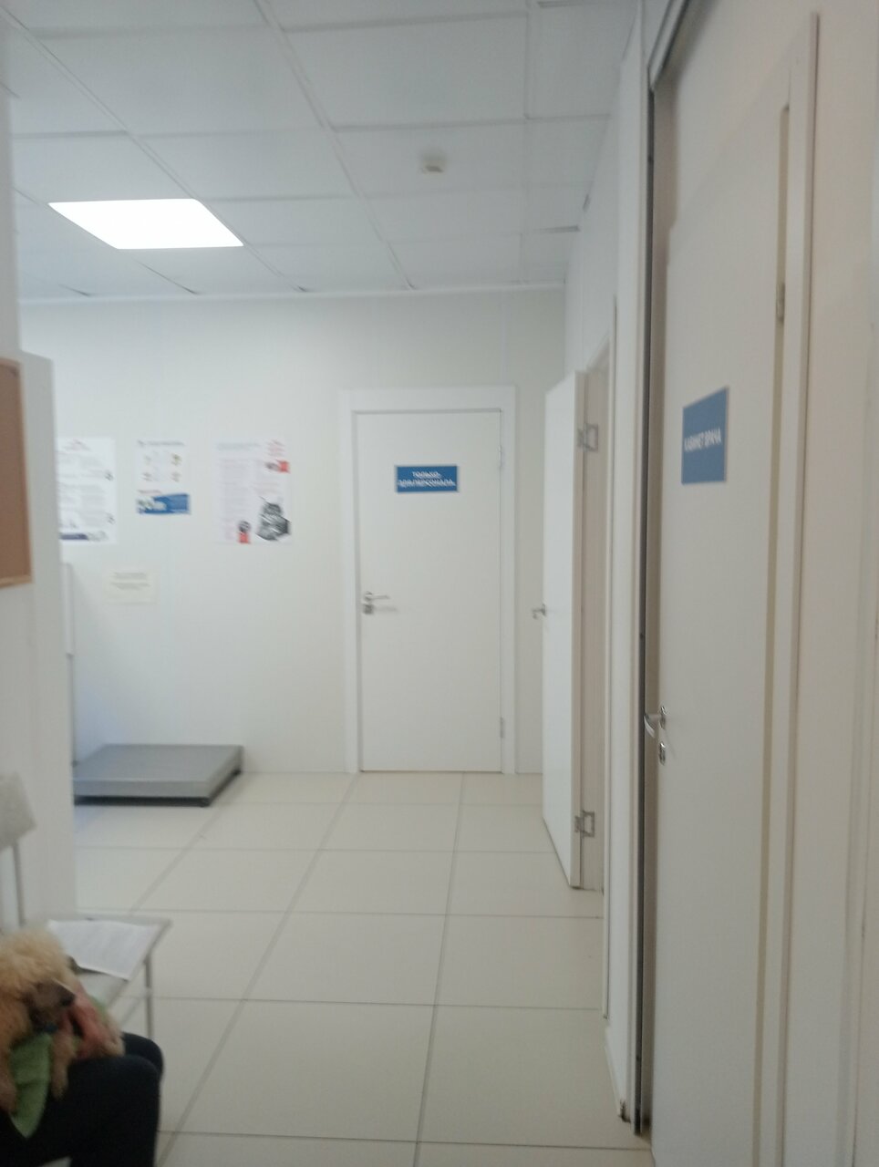 more clinic photos 21805