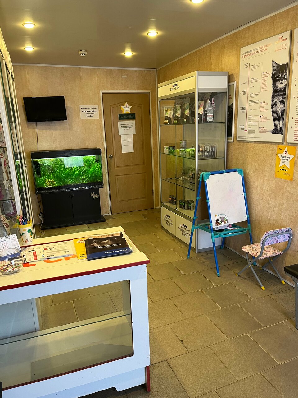 Фото клиники 60113