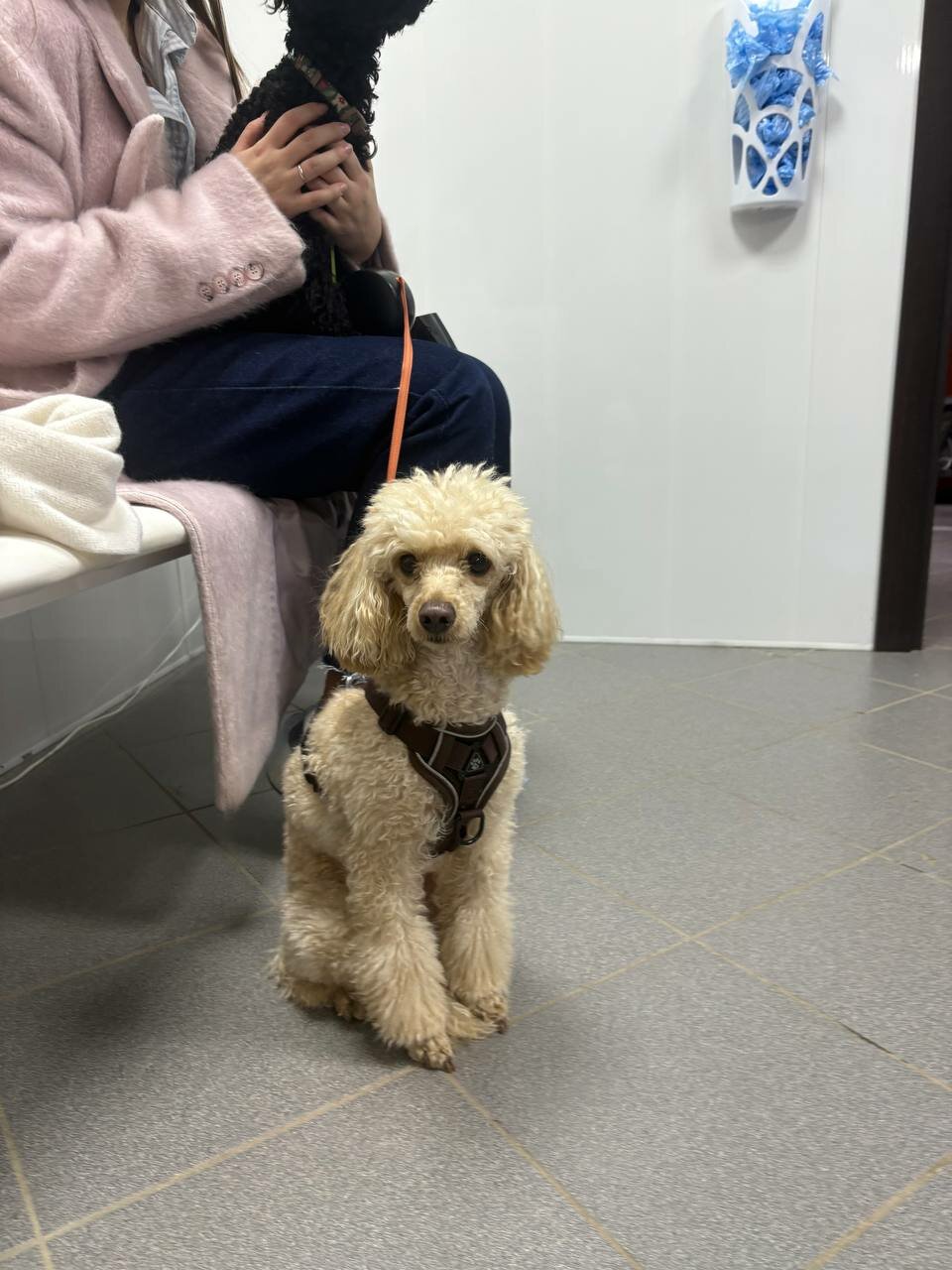 more clinic photos 39516