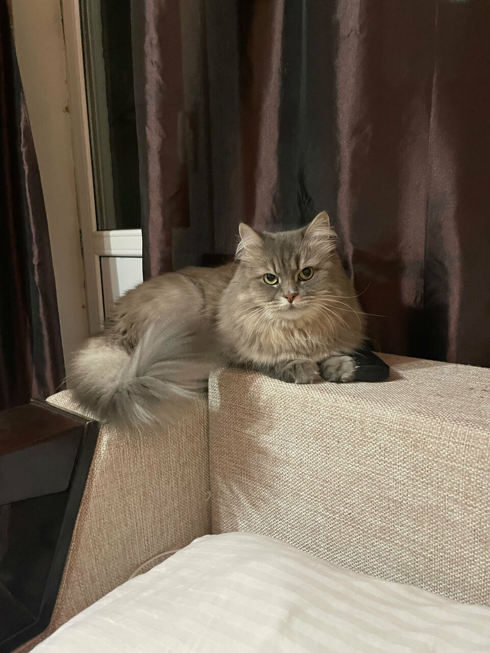 Фото клиники 26164