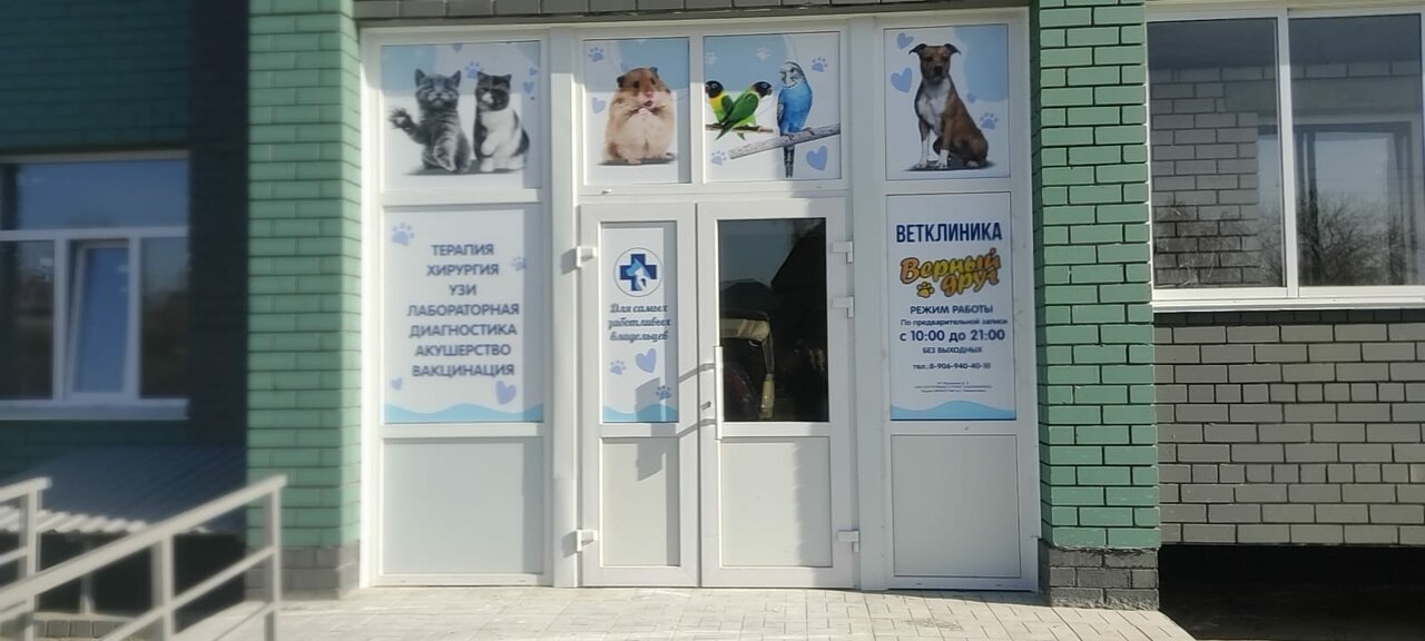 Верный друг