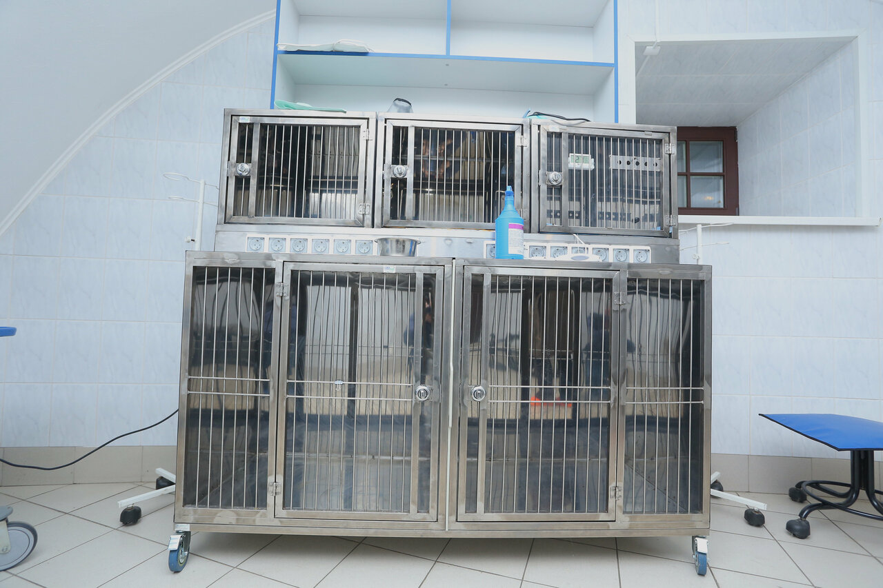 more clinic photos 39432