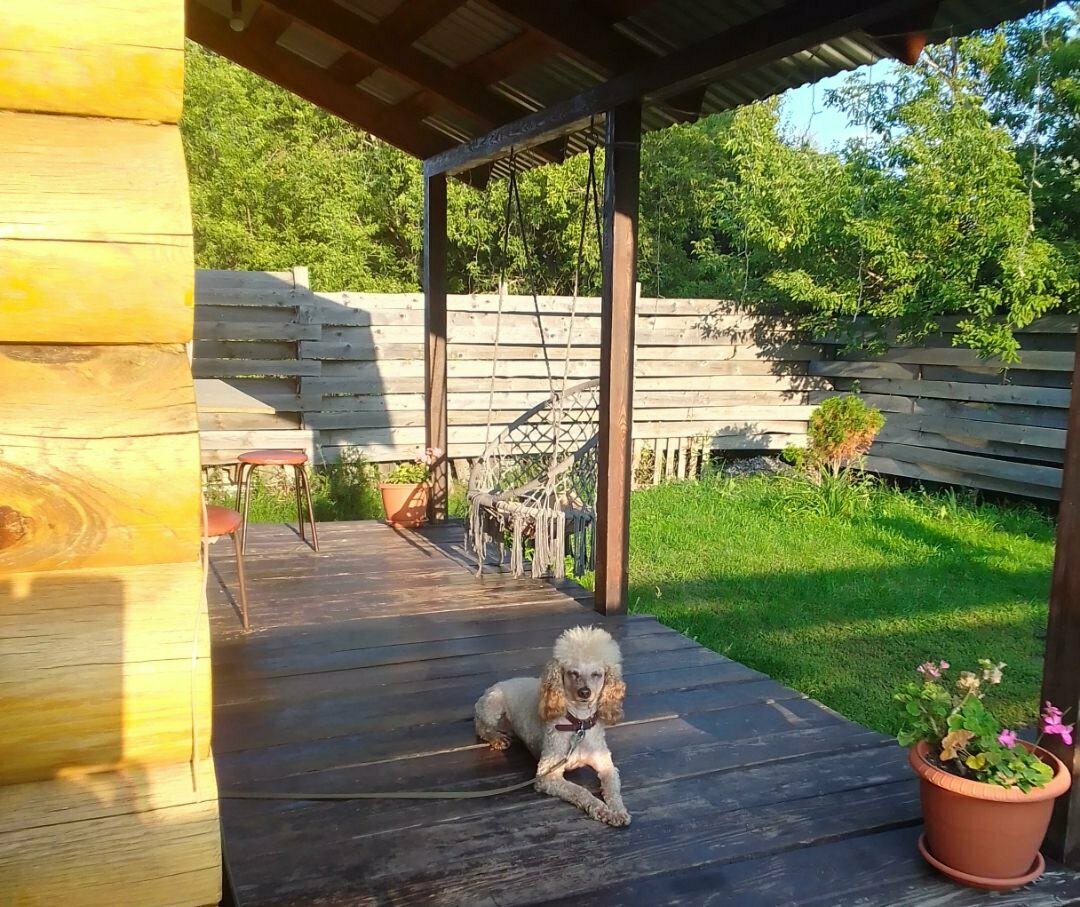 Ветклиника