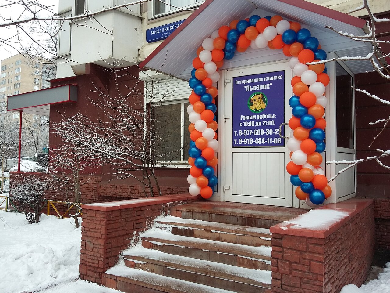 Фото «Львёнок»
