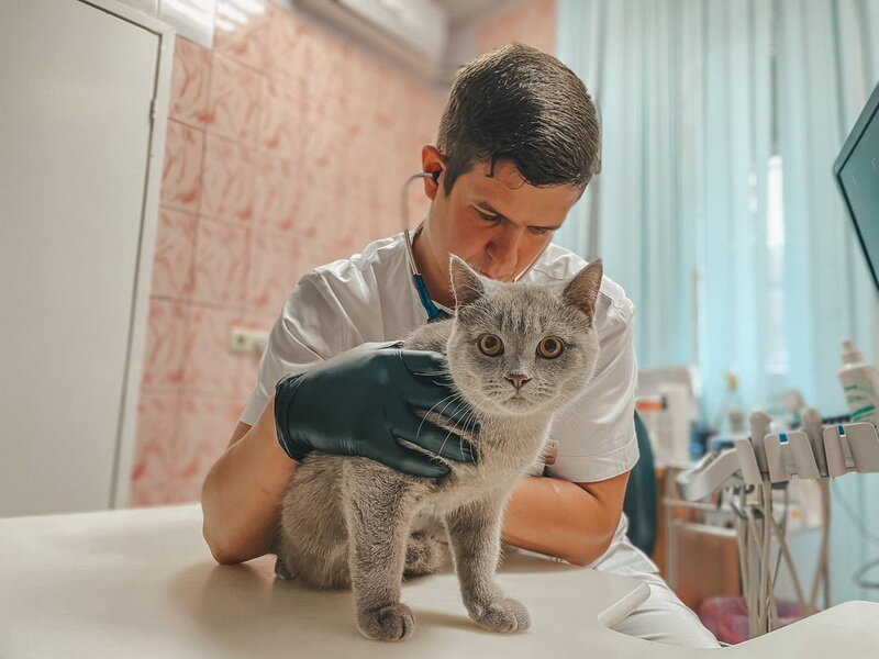 clinic general image