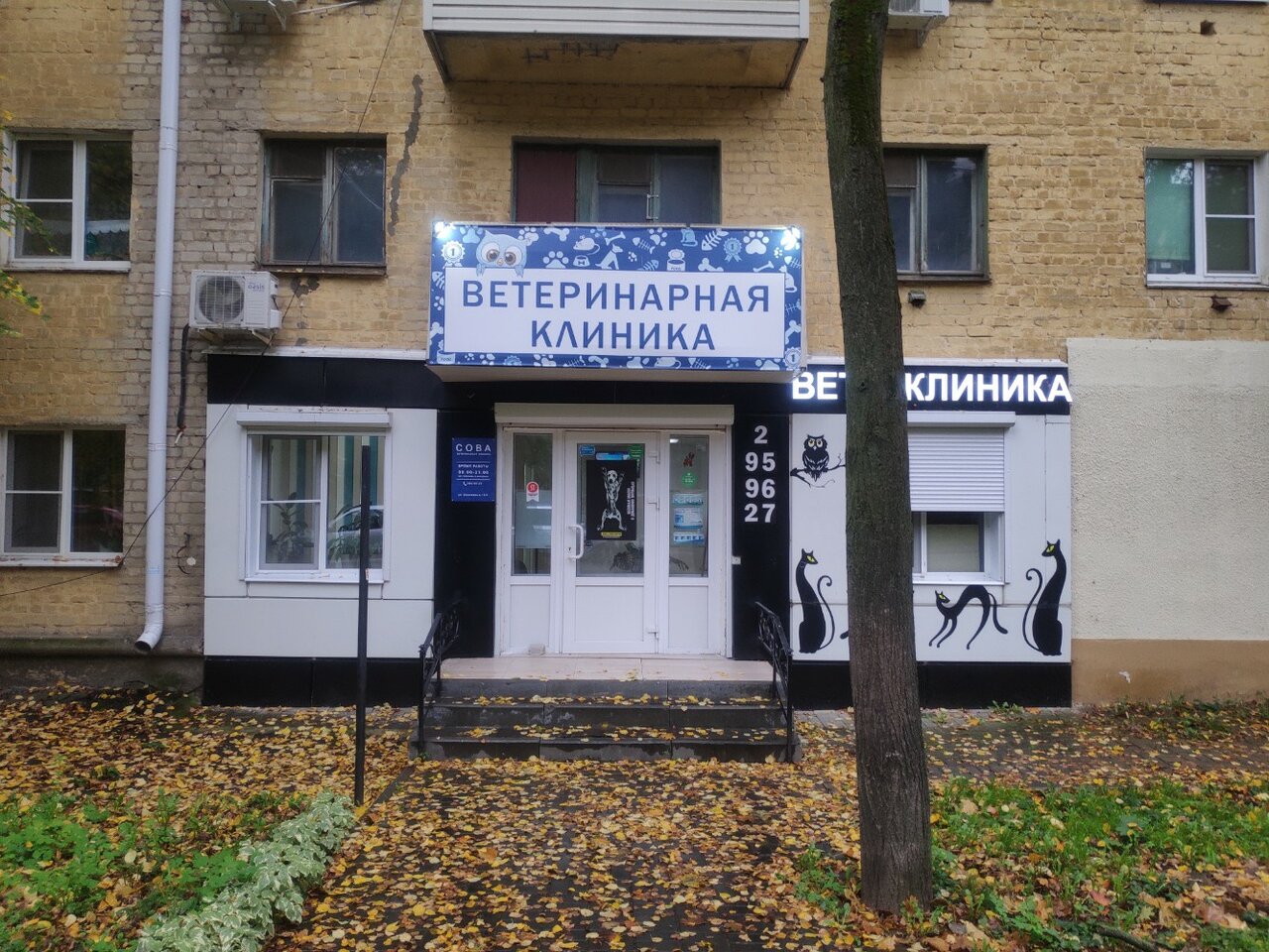 Фото клиники 35198