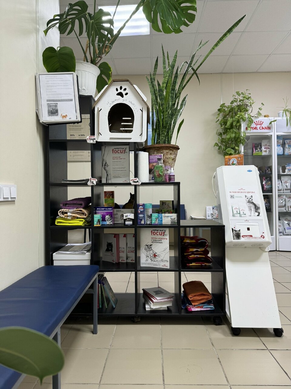 more clinic photos 37024