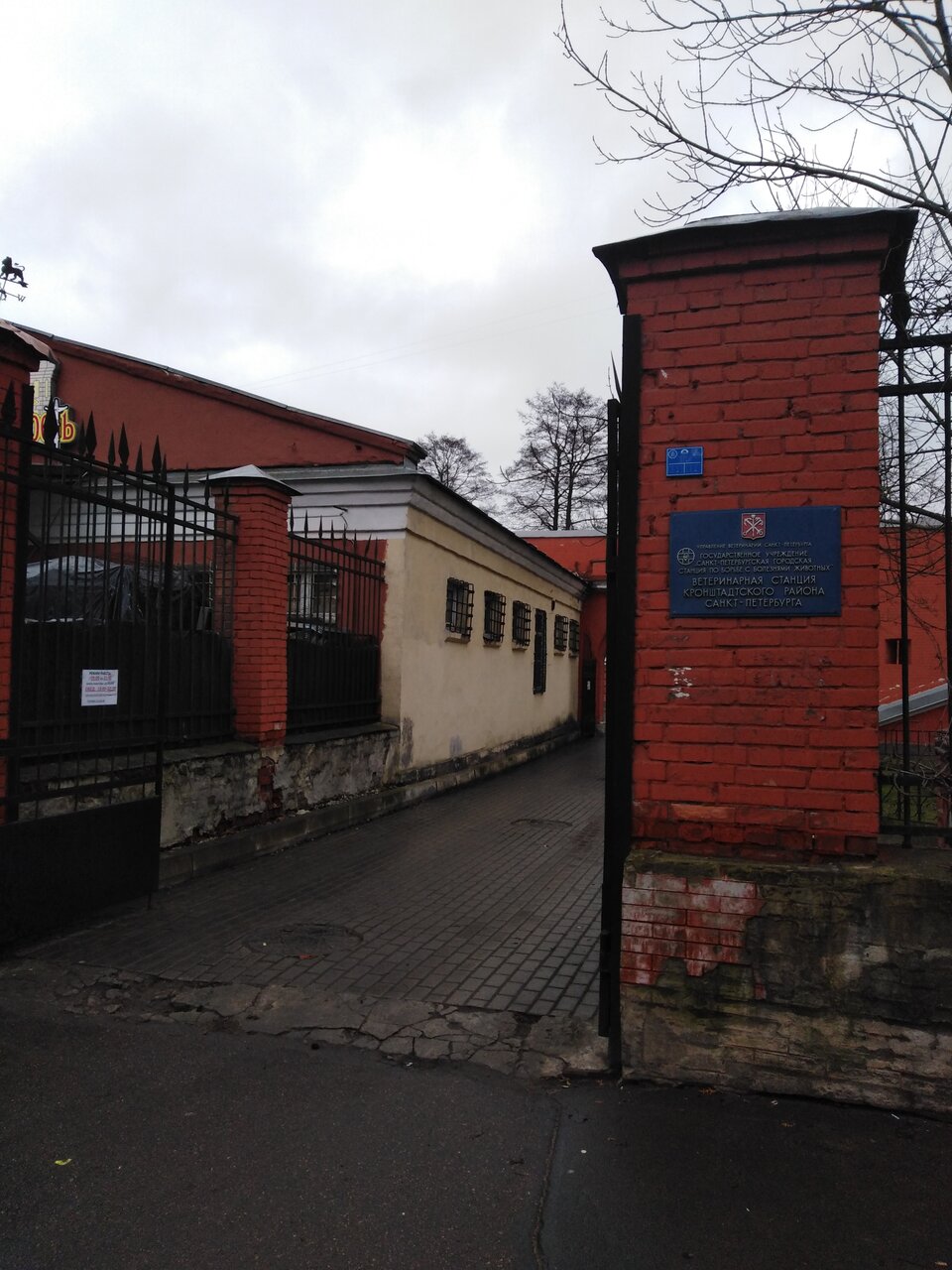Фото клиники 39441