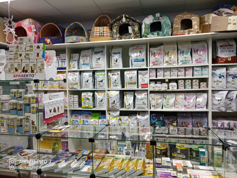 Четыре лапы