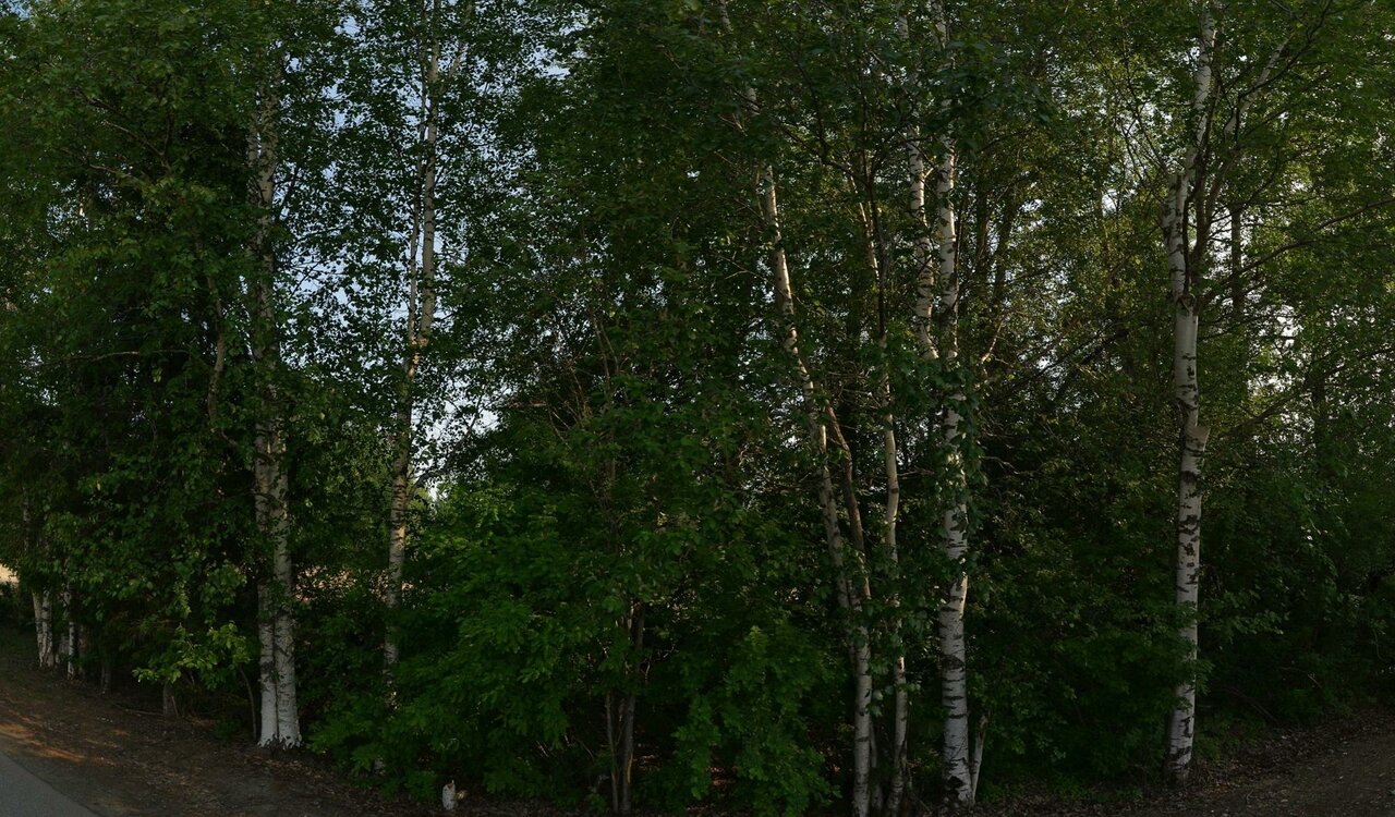 Ветеринарная Служба Ханты-Мансийская