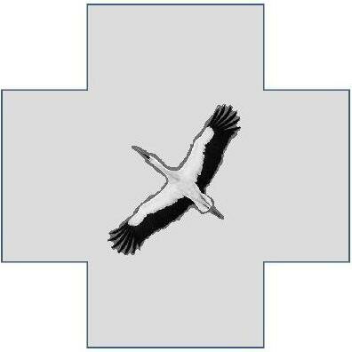 clinic logo
