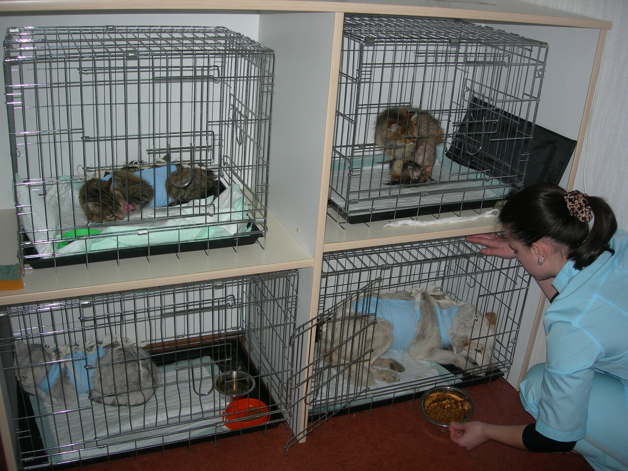 more clinic photos 6313