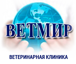 Логотип клиники