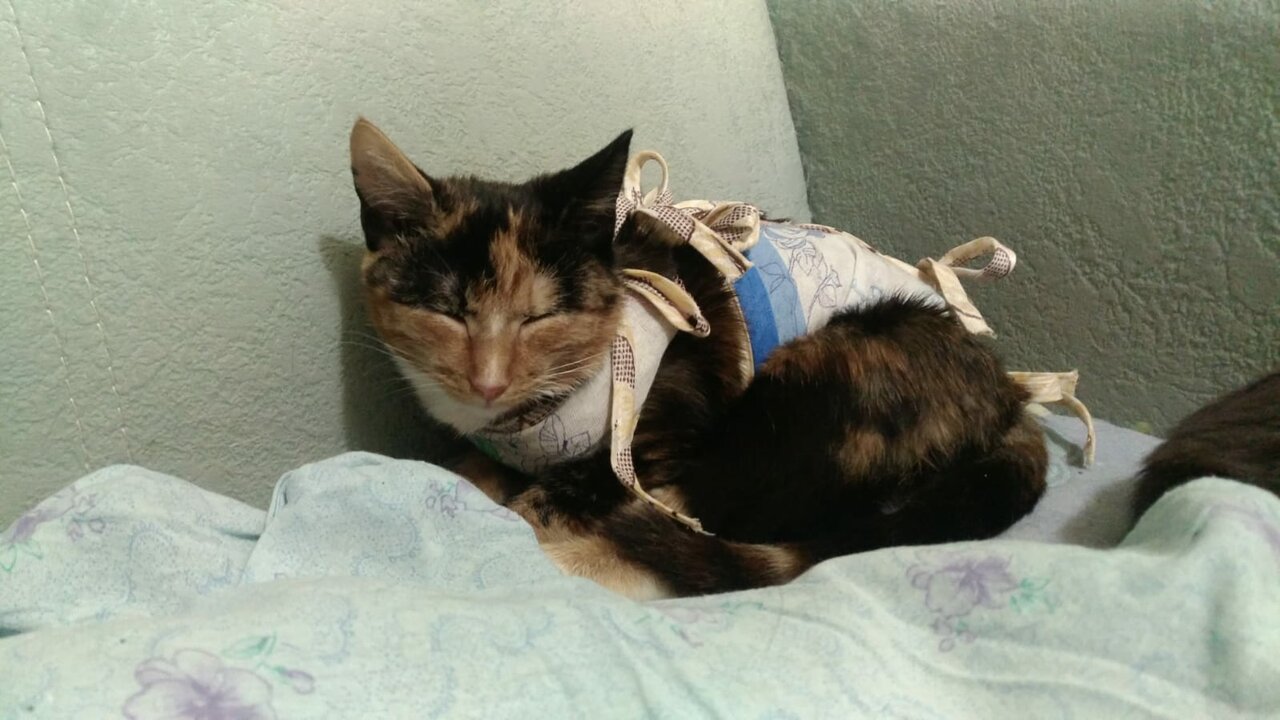 clinic general image