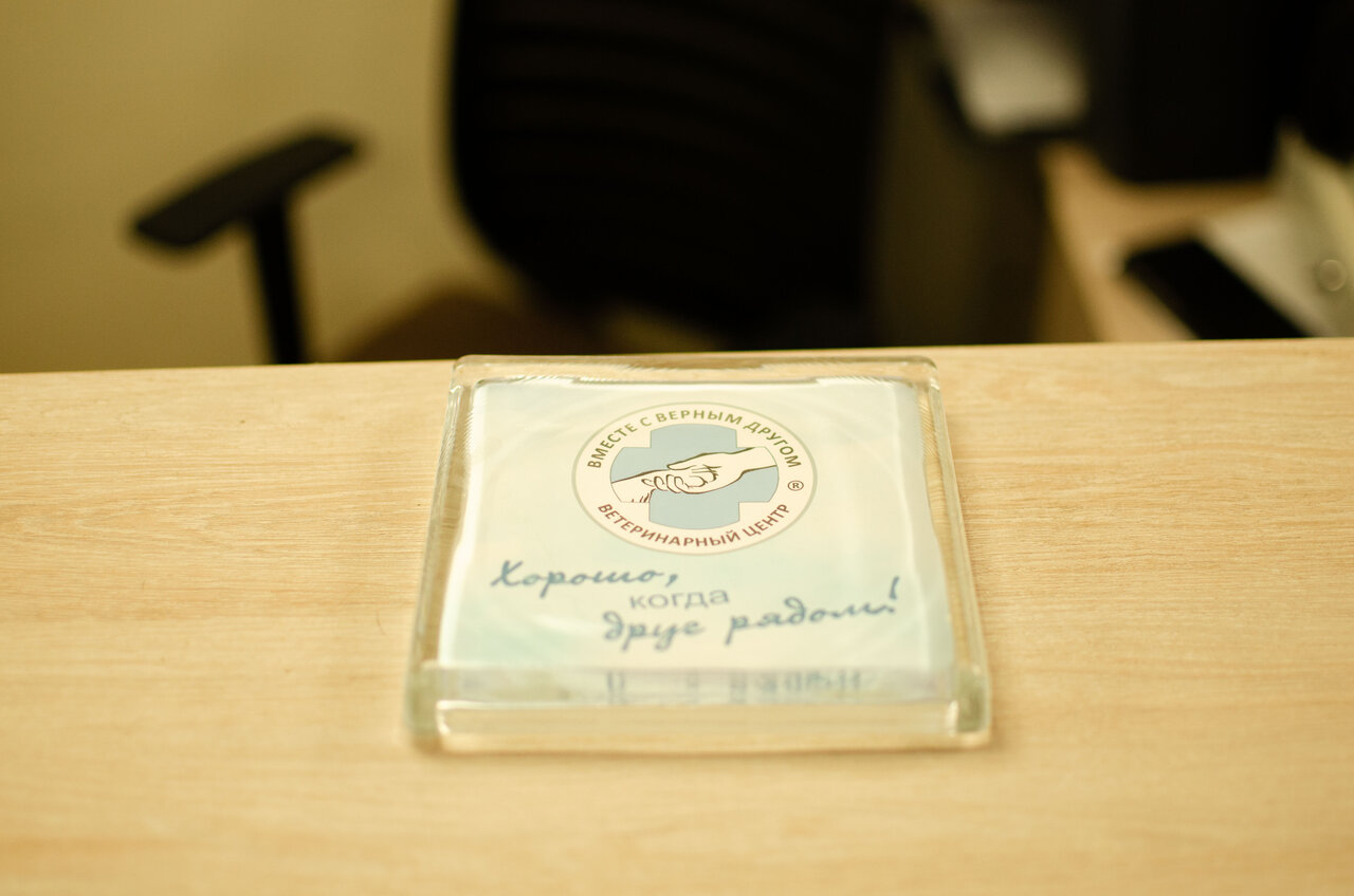 more clinic photos 3998