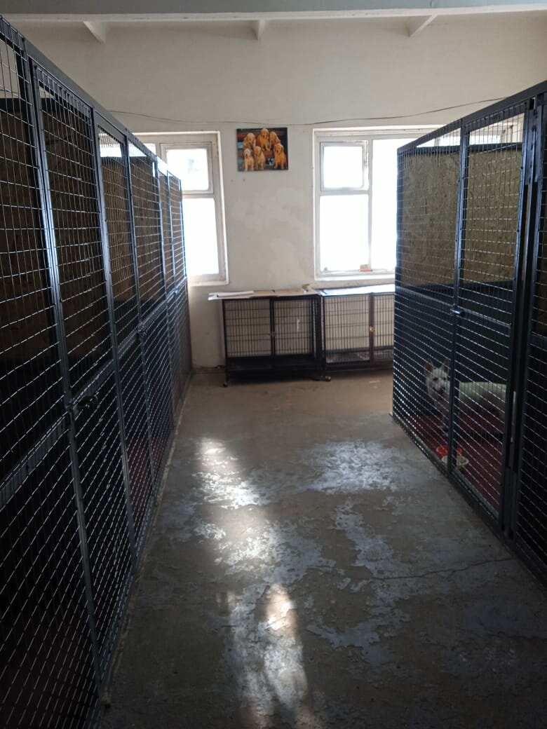 more clinic photos 47205