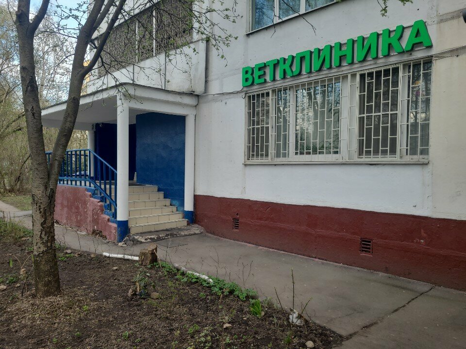 Фото «Центр здоровья животных»