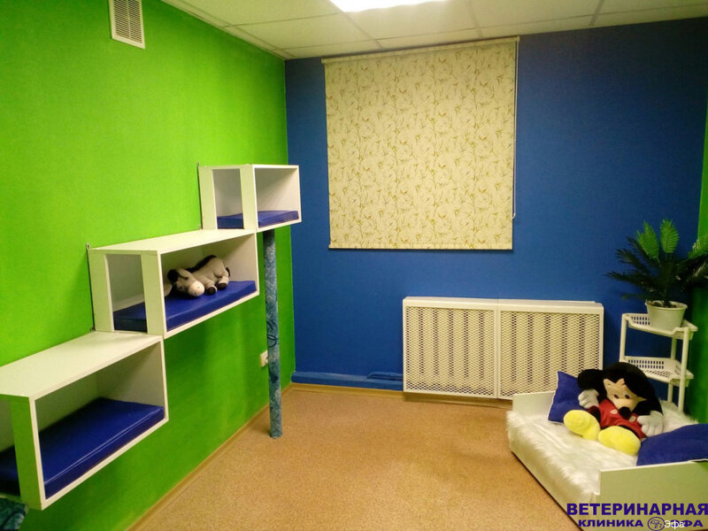 more clinic photos 59783