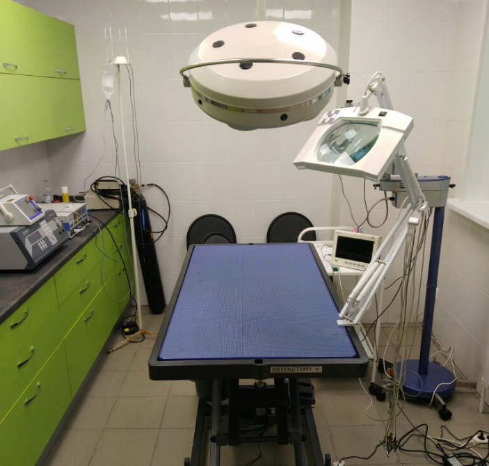 Баннер клиники Воронежский ветеринарный госпиталь № 1