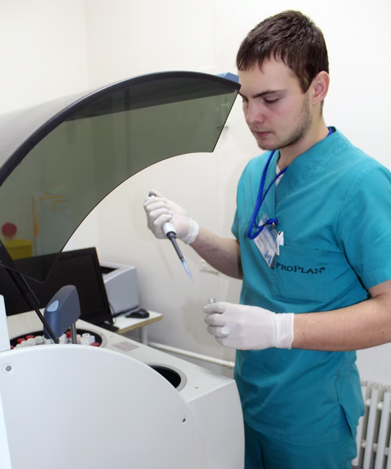 Баннер клиники Ветеринарный лазарет