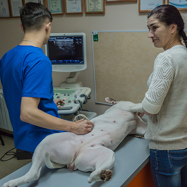 Баннер клиники Эксперт