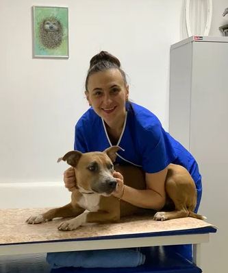 Баннер клиники Сова