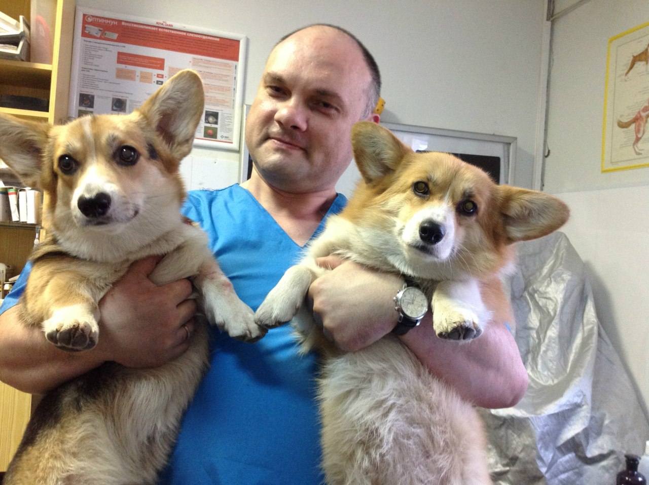 Баннер клиники Лимпопо