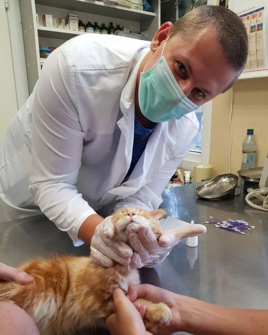 Баннер клиники Парацельс